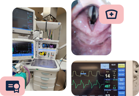 nurse anesthesiologist ces